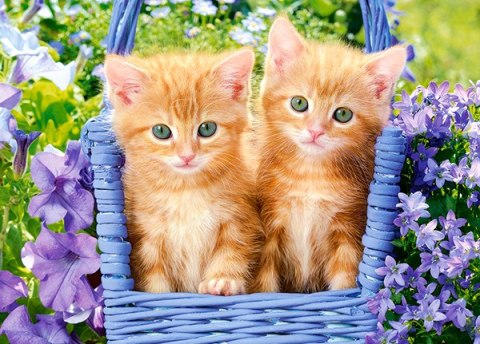 PUZZLE 60 ELEMENTÓW GINGER KITTENS CASTORLAND B-066247