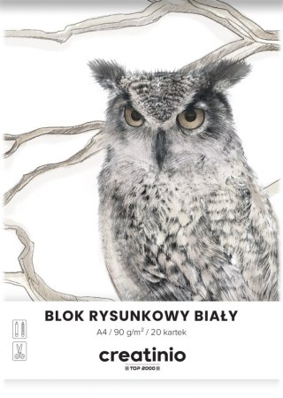 Blok rysunkowy A4 - 20 białych kartek 90g | Creatinio 400176663