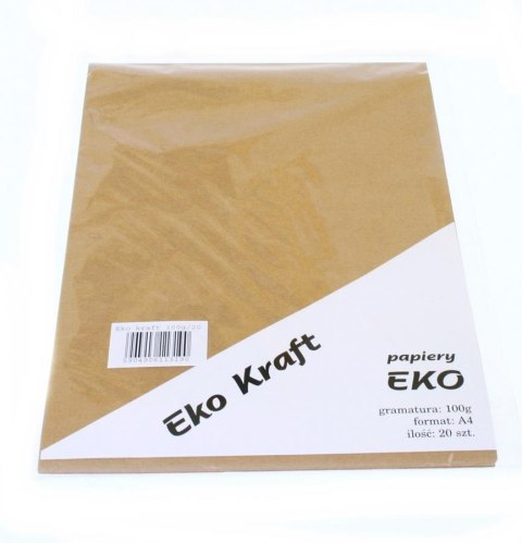 KARTON OZD A4 EKO KRAFT 100G OP20ARK SALON PAPIERÓW