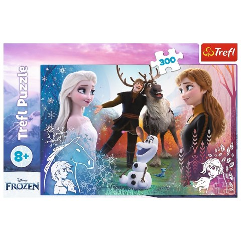 PUZZLE 300 ELEMENTÓW FROZEN 2 TREFL 23006 TR TREFL