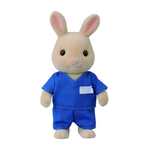 SYLVANIAN WIEJSKI DOKTOR 5729 WB6 EPOCH