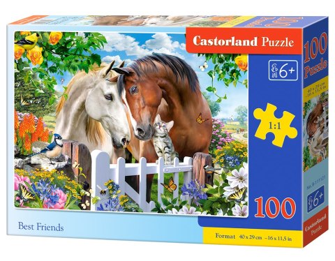 PUZZLE 100 ELEMENTÓW BEST FRIENDS CASTORLAND B-111121 CASTOR