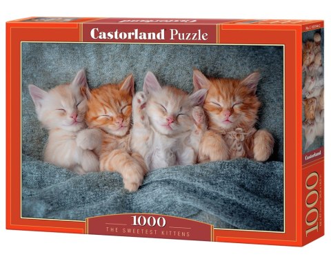 PUZZLE 1000 EL. THE SWEETEST KITTENS CASTORLAND C-105144 CASTOR