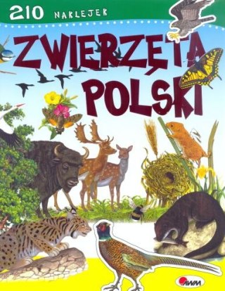 KSIAZECZKA EDUK AWM ZWIERZETA POLSKIE NA MOREX