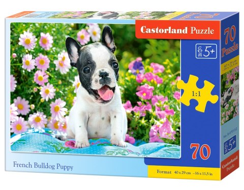 PUZZLE 70 ELEMENTW FRENCH BULLDOG PUPPY CASTORLAND B-070152 CASTOR