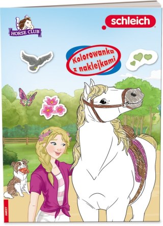 SCHLEICH HORSE CLUB KOLOROWANKA Z NAKLEJKAMI AMEET NA-8402 AMEET