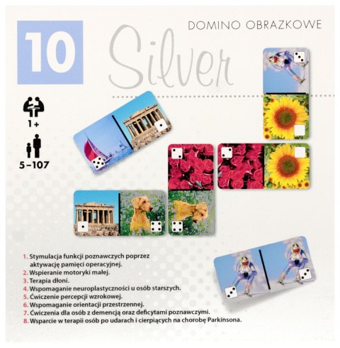 GRA DOMINO OBRAZKOWE MIX SILVER PLX ALEXANDER 2880 ALX ALEXANDER