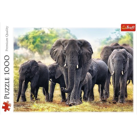 PUZZLE 1000 ELEMENTÓW AFRYKAŃSKIE SŁONIE TREFL 10442 TR TREFL