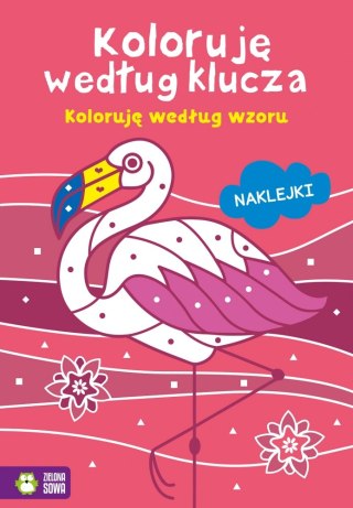 KSIAZECZKA EDUK 200X290 KOLORUJE WEDLUG WZORU ZS