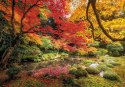 Puzzle 1500 Elementów „Autumn Park” - Clementoni 31820